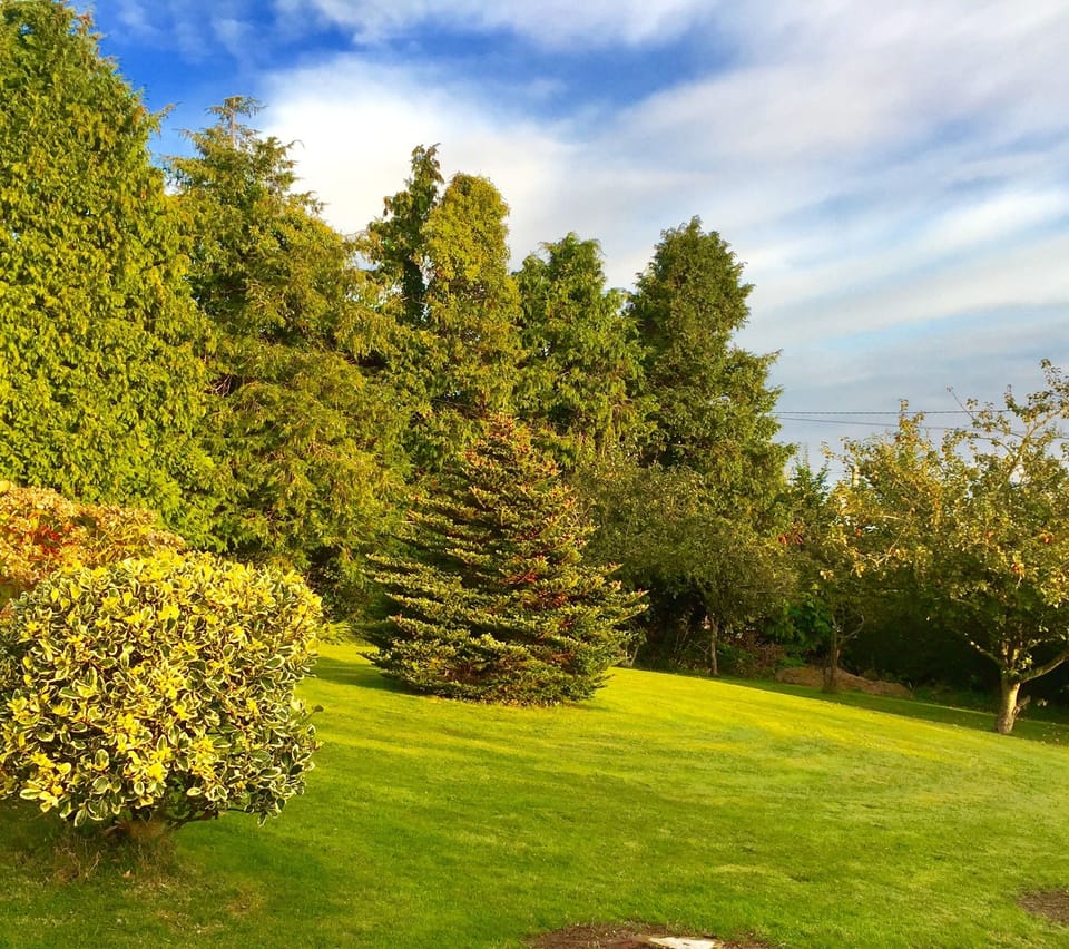 Front Garden