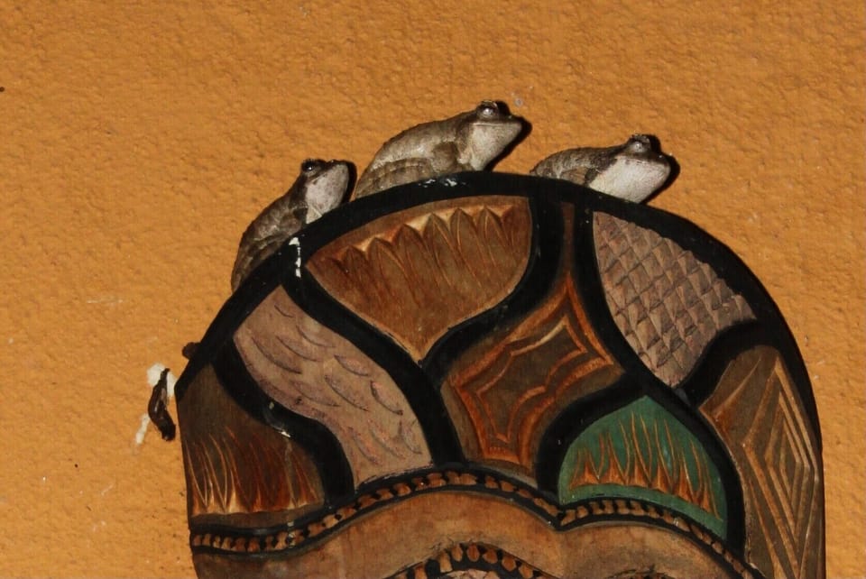 Interior detail