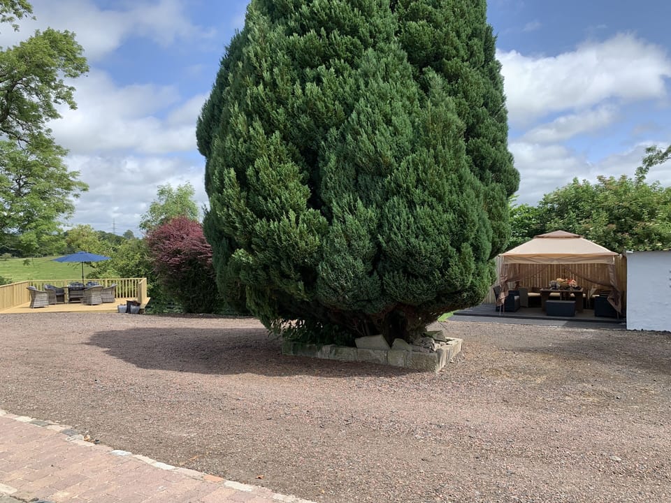 Massive grounds to the front of the house with separate areas for seating