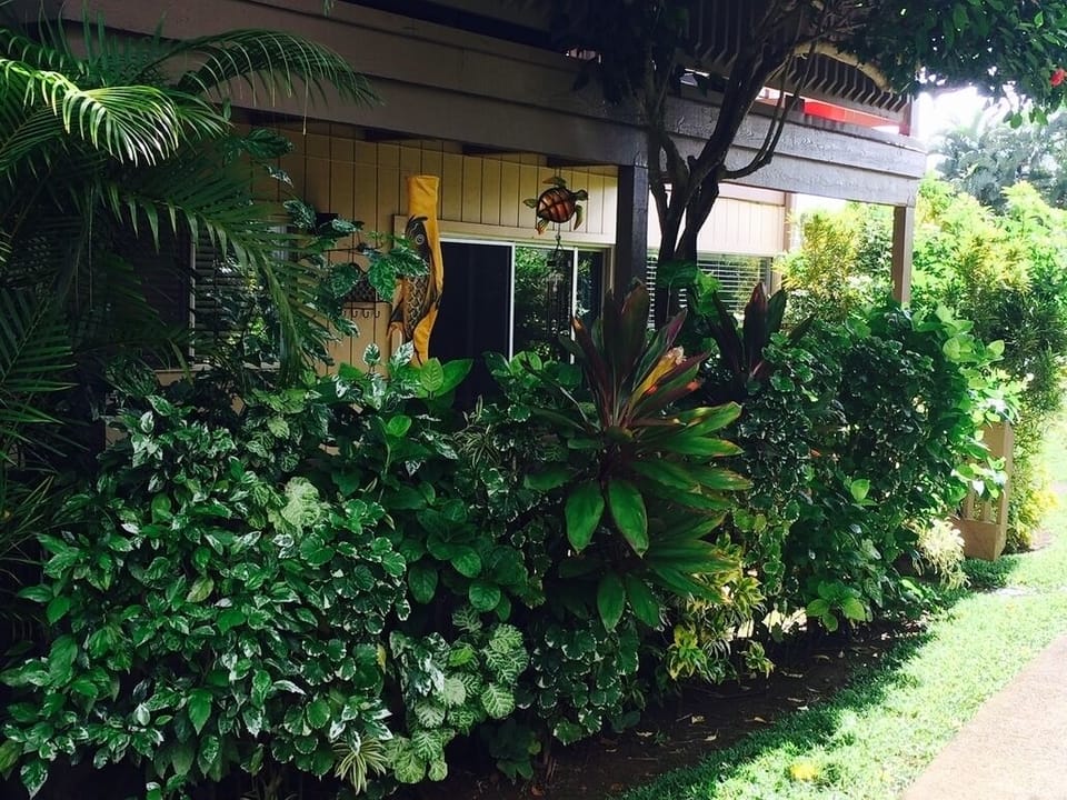 lanai/patio, dine outside