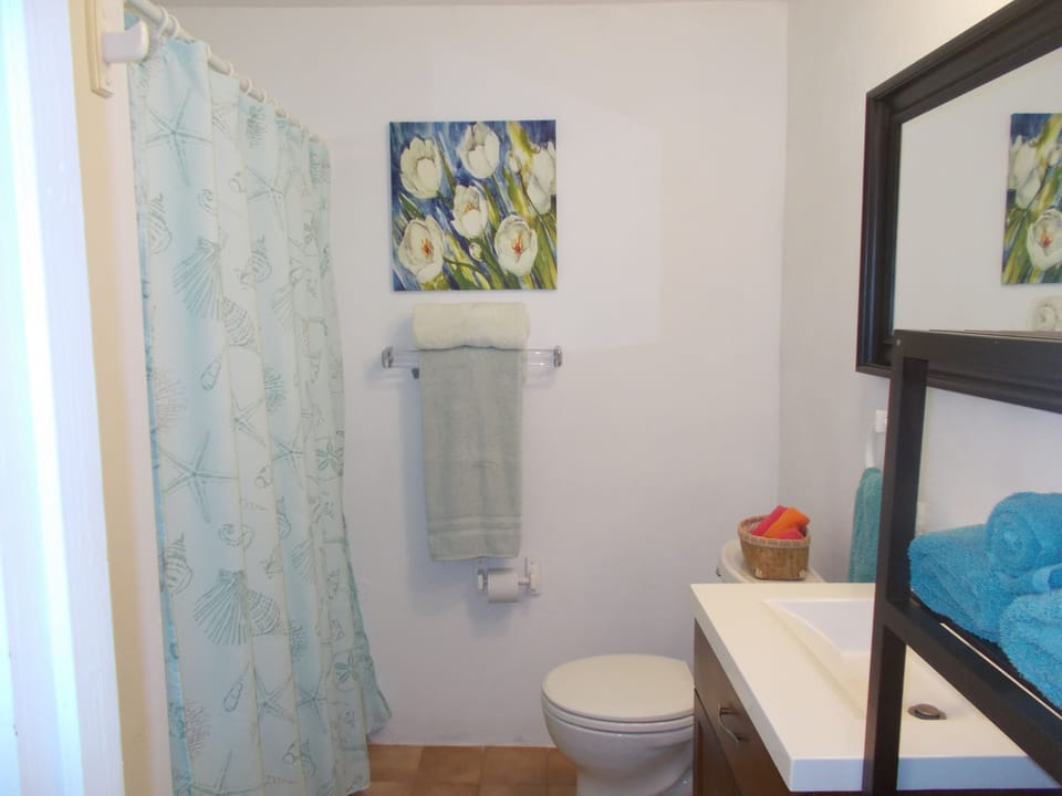 Bathroom w/Shower