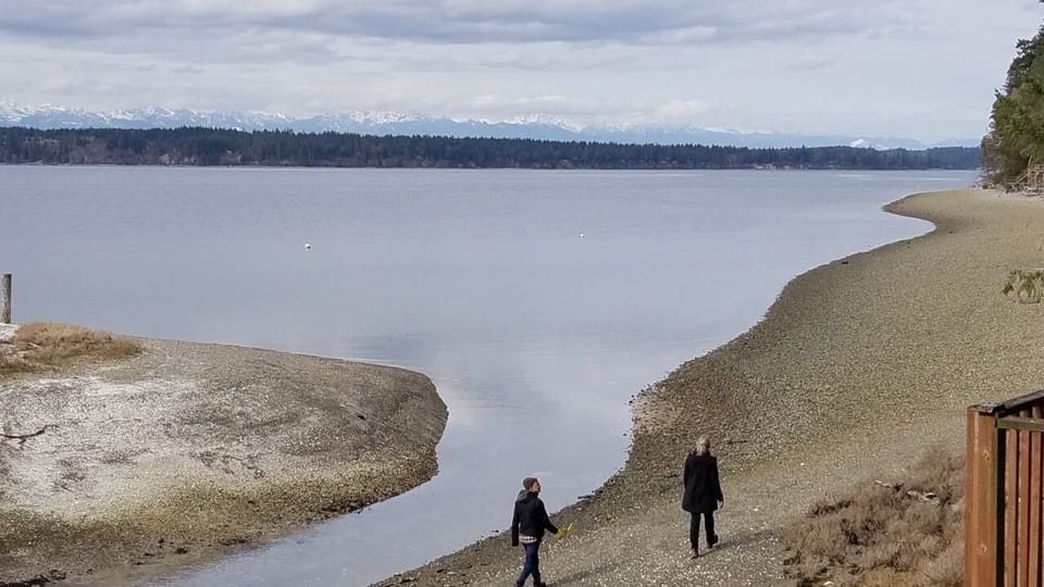 Stroll 4 miles of beach year round. Circle the whole island when the tide is out