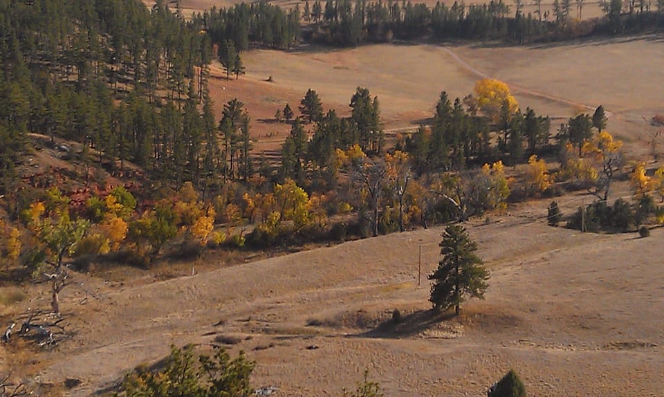 fall color