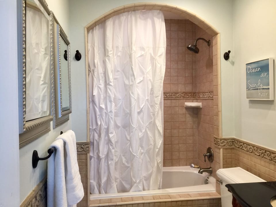 Master bath with jetted tub and shower combo.