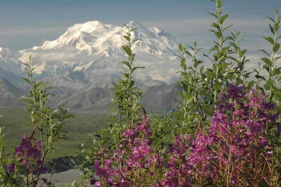 (17) close to all your Denali adventures!