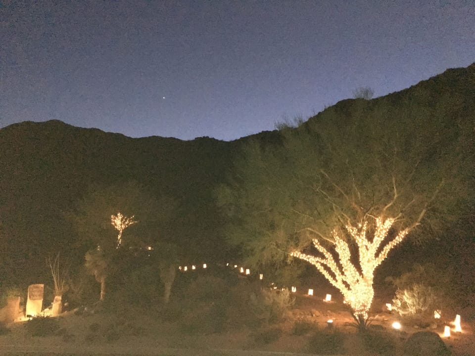Christmas Lights leading to Meditation Park, its Rock Fountain and Hiking Trail.