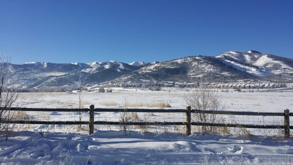 View from Back Deck in Winter