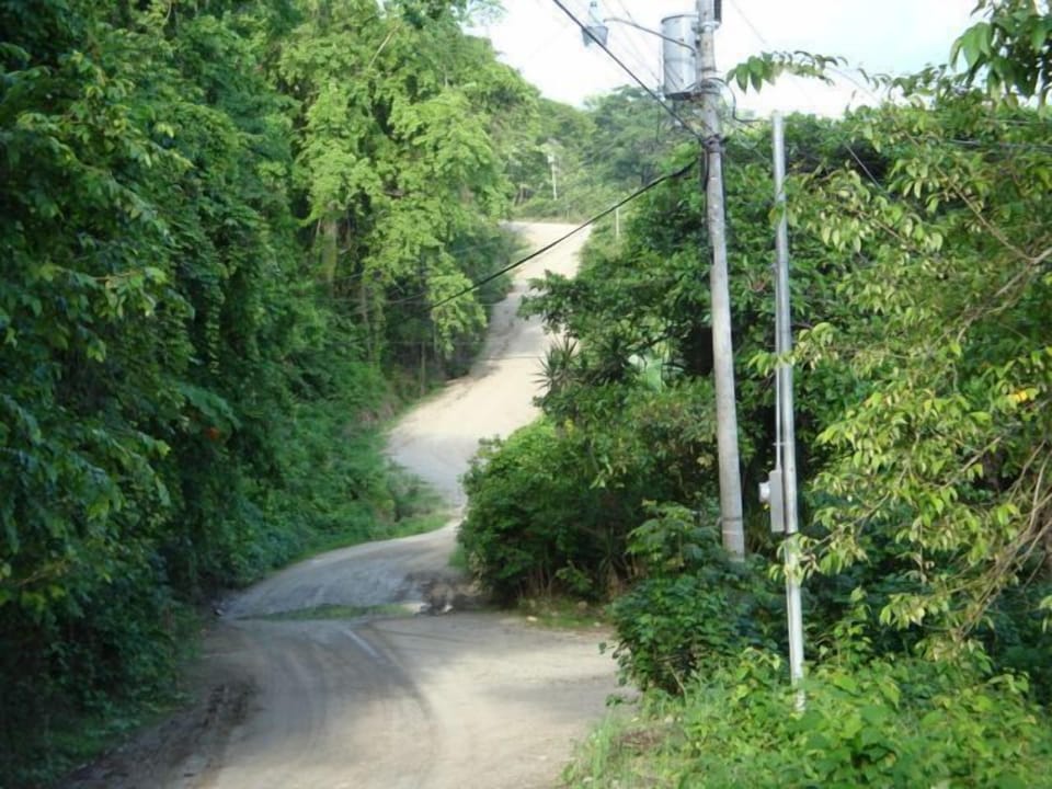 Road to House
