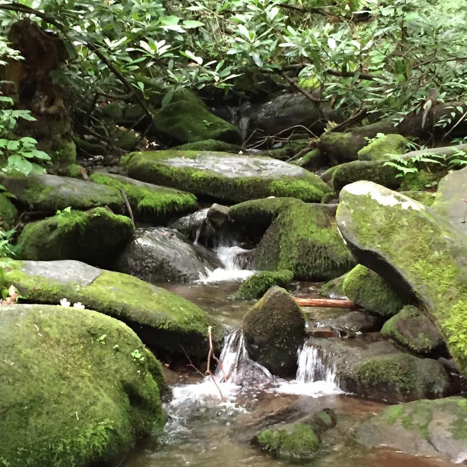 roaring fork pass, just minutes away.....drive the park & walk the waterfalls! 