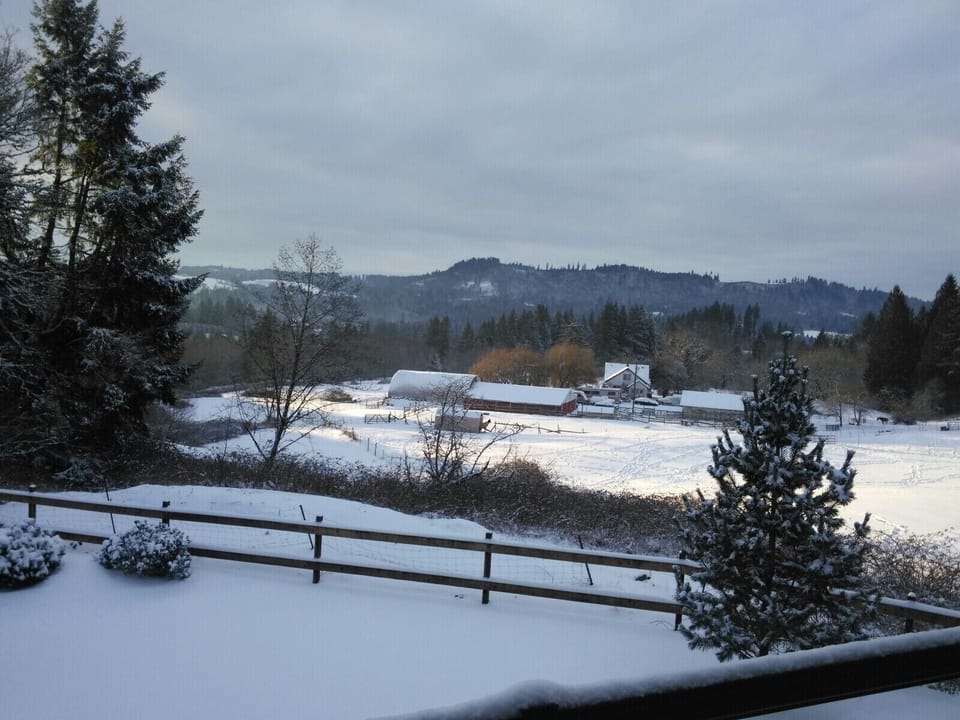 Winter wonderland
