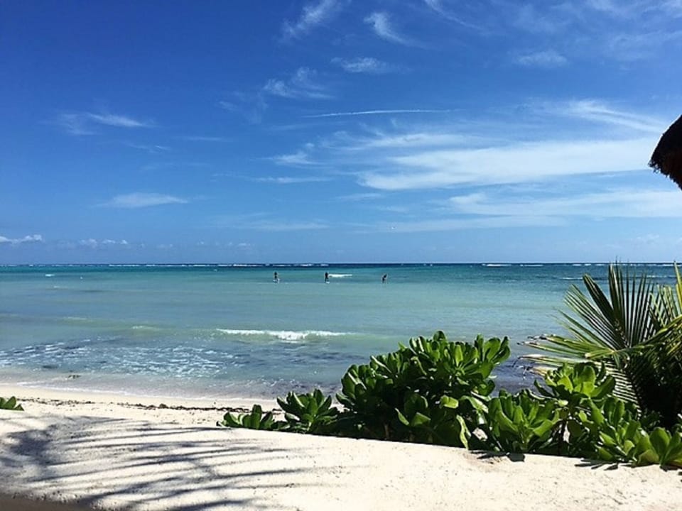 View of the Bay and paddle boarders enjoying the water