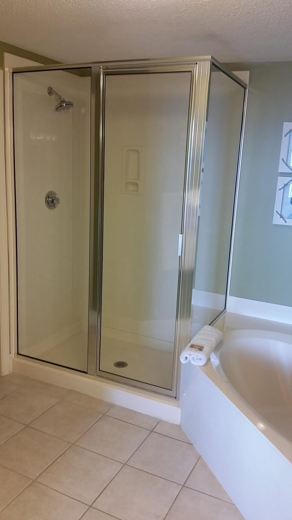 Master bathroom 