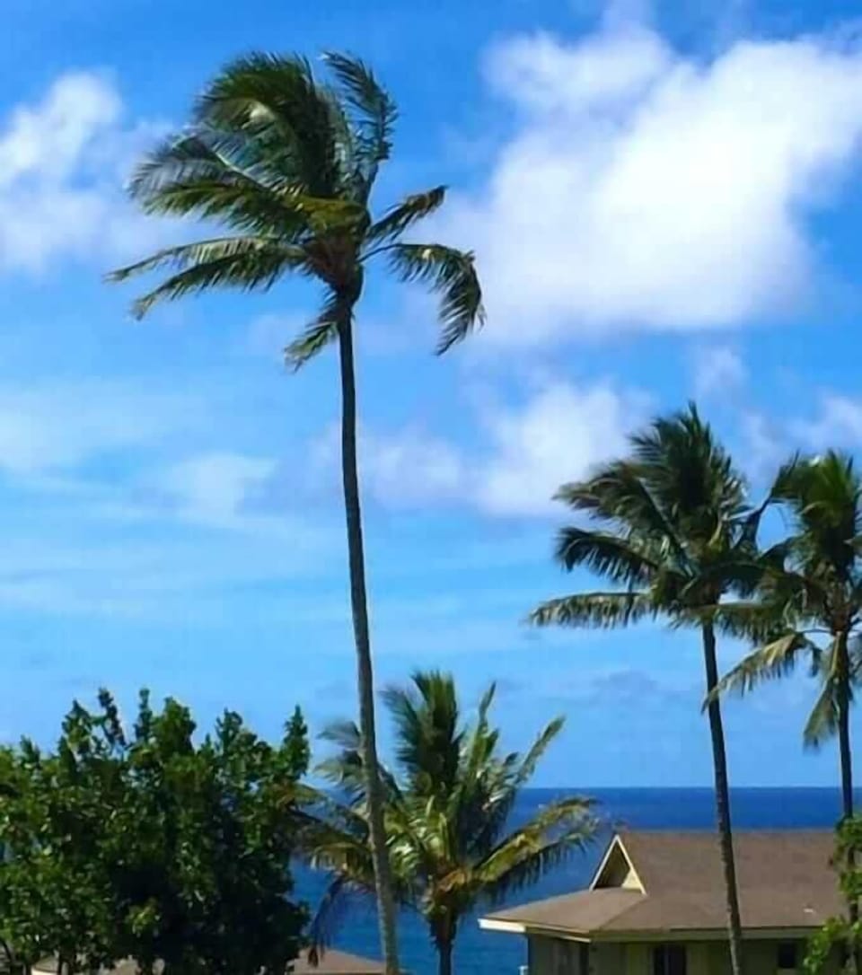 Distant Ocean Views