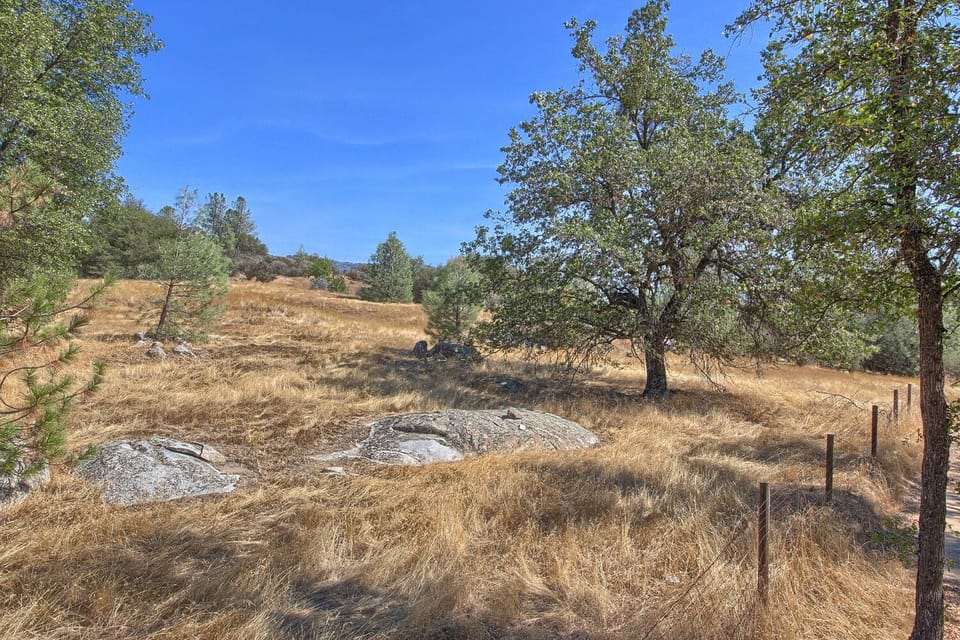 Meadow 
