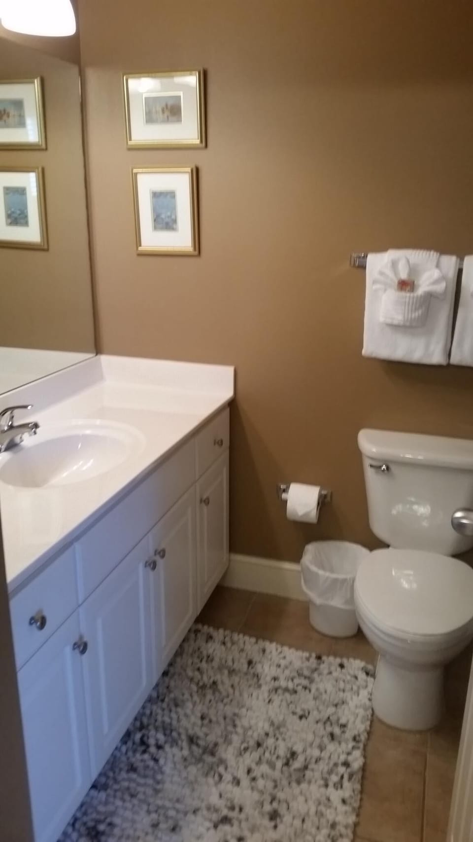 Master bedroom's bathroom