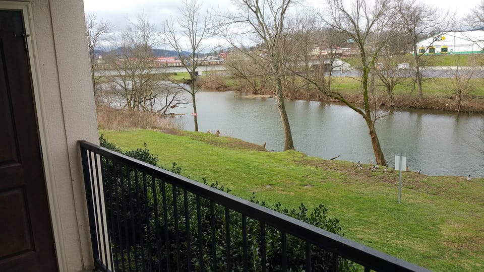 Back Porch
