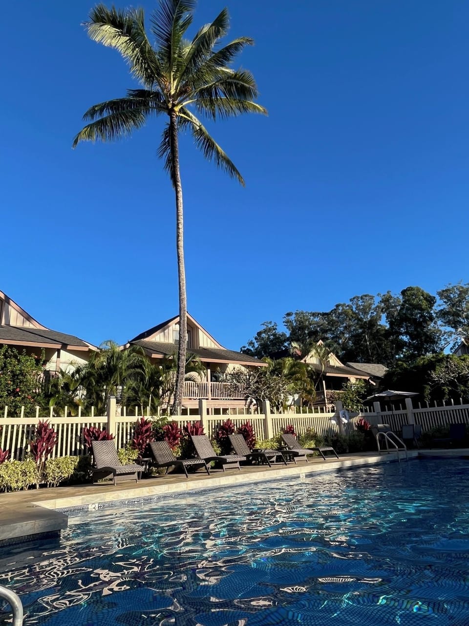 Sandpiper pool.