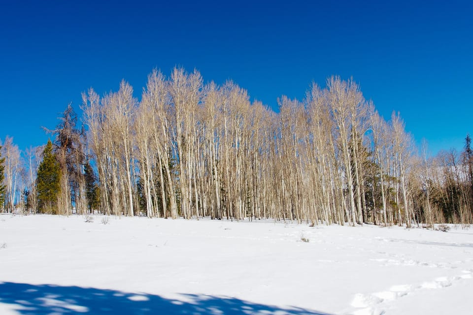 Great hiking is just outside your door!