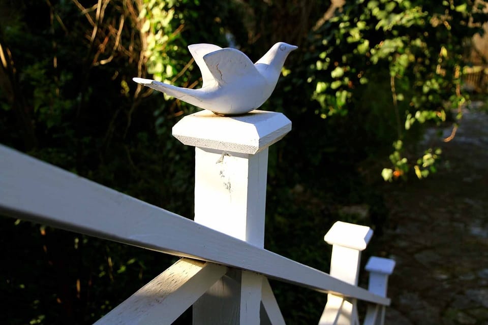 Peaceful...