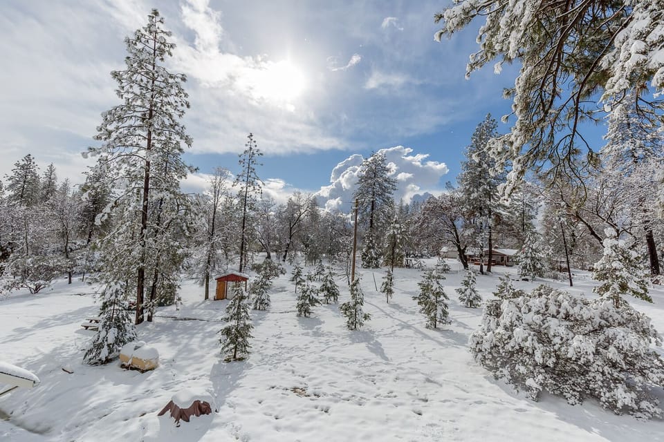 A winter wonderland, we get snow on occasion in the winter.  