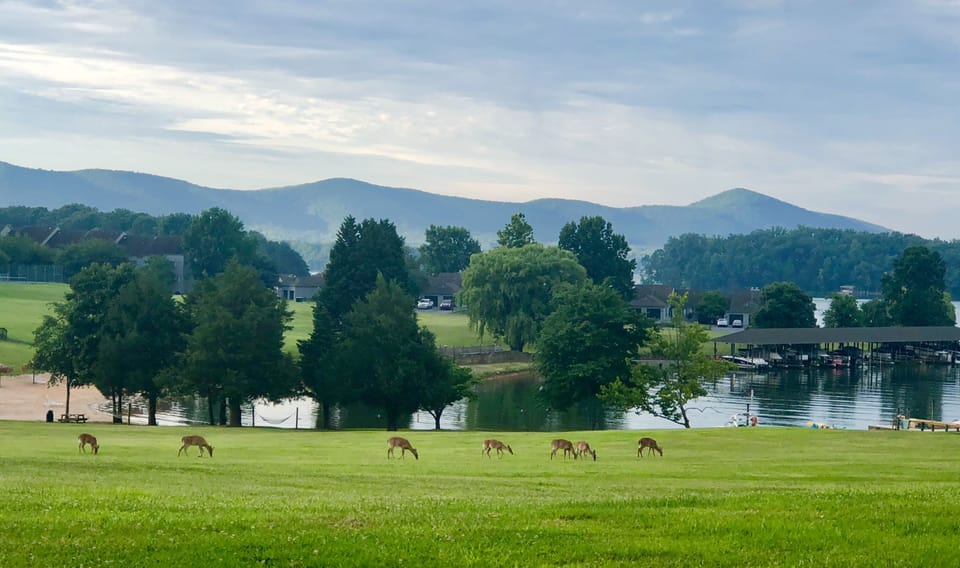 GREAT VIEW FROM OUR DECK! 