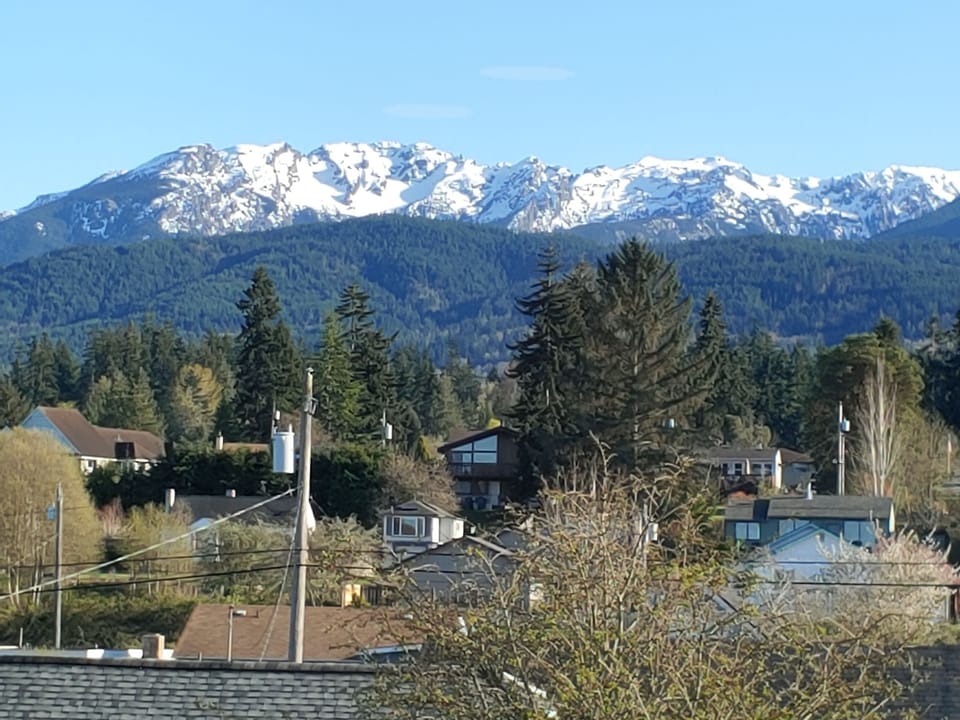 View from the master bedroom