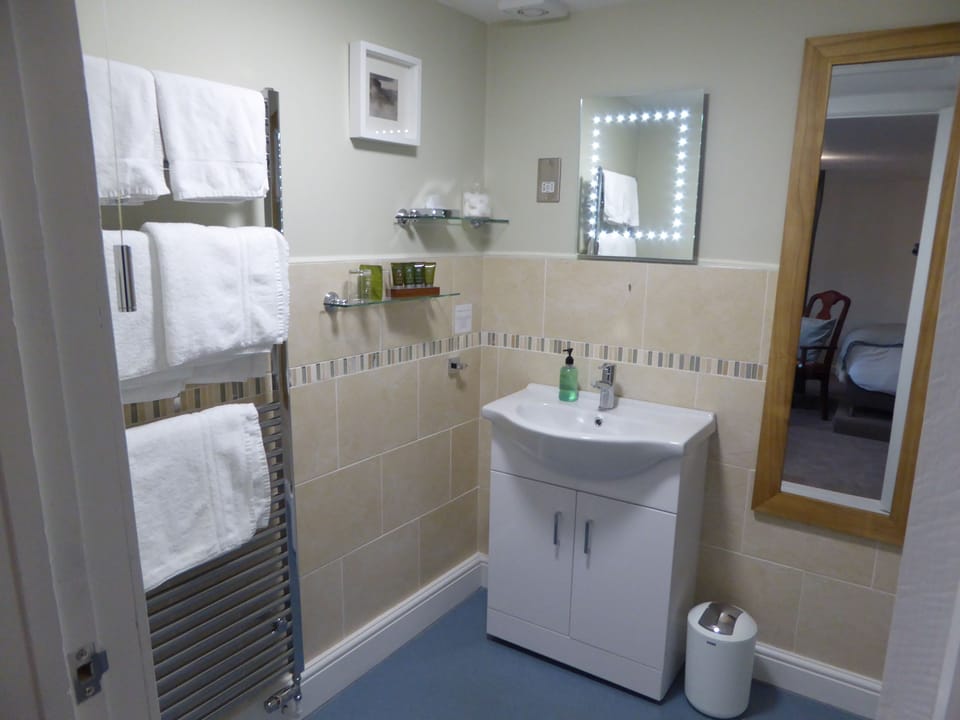 Family Room, Ensuite (Pen Y Fan) | Bathroom sink