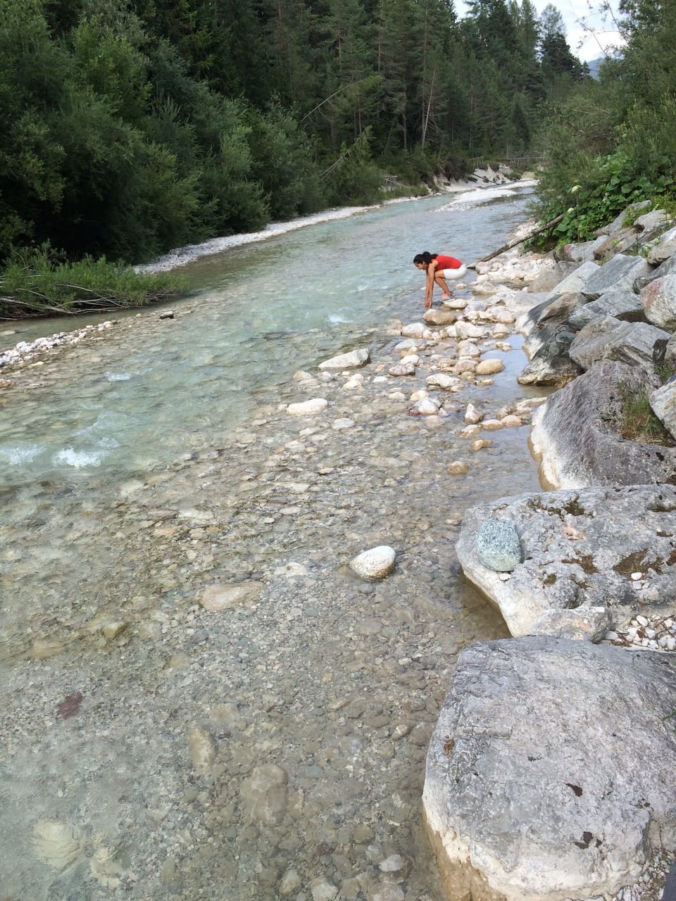 Local river in summer