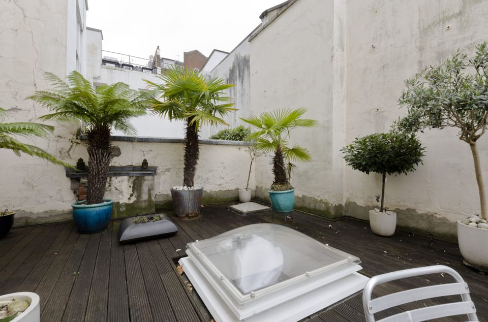 outdoor terrace with plants