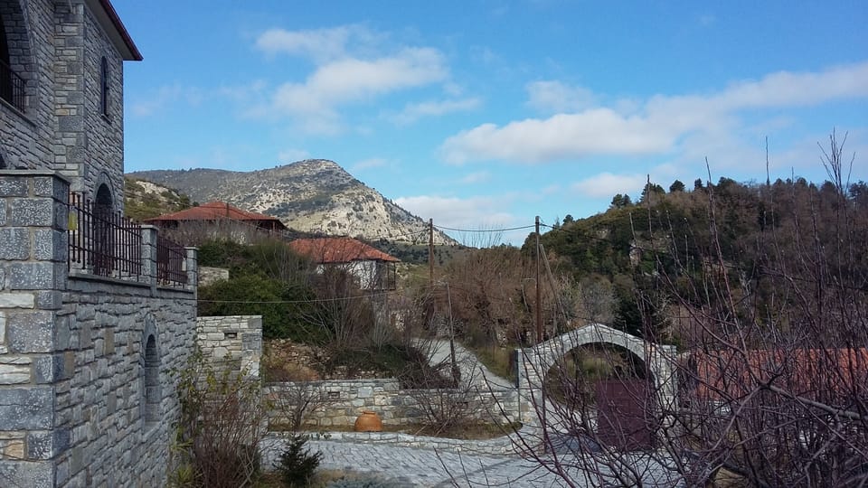 view from the garden