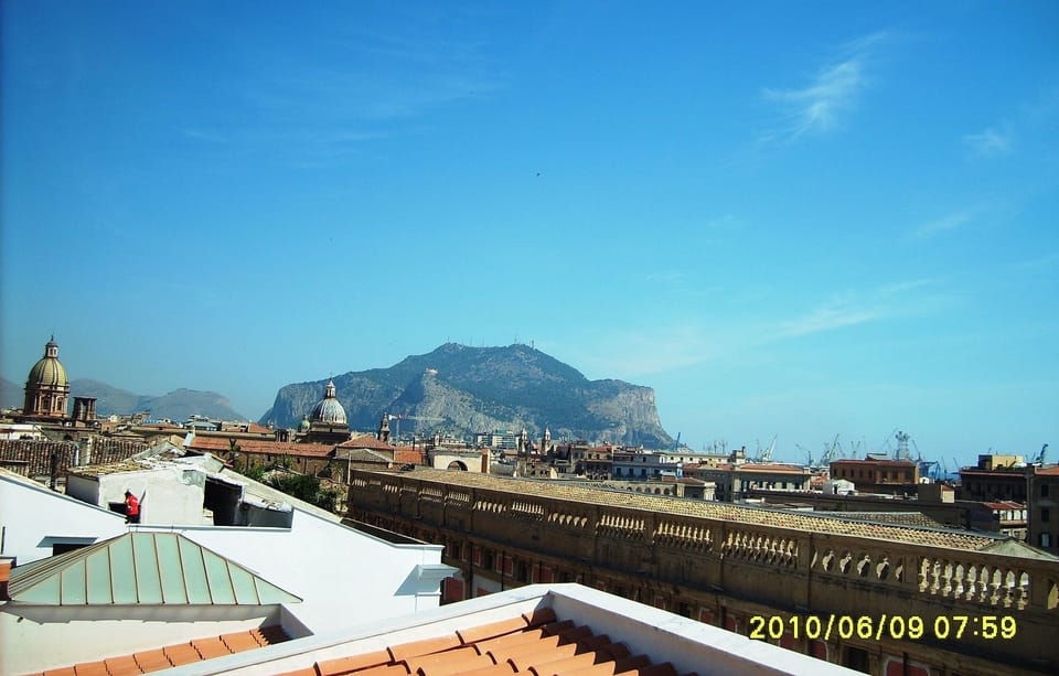 View from the roof