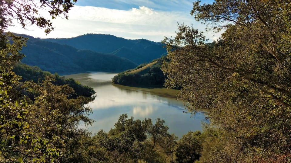 Lake Sonoma is the perfect day trip location. 