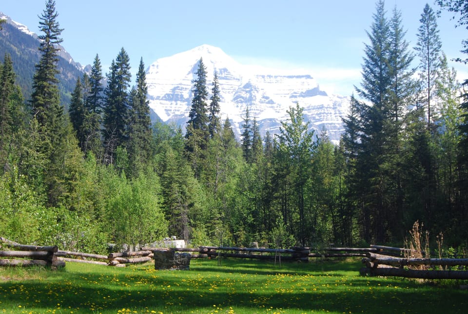 view of Mt. Robson and Swift Current Creek from property
