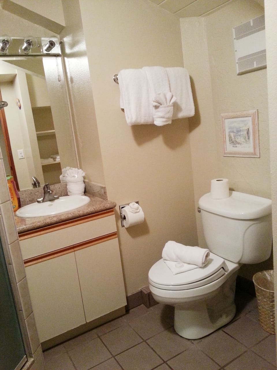 Private loft bathroom with shower