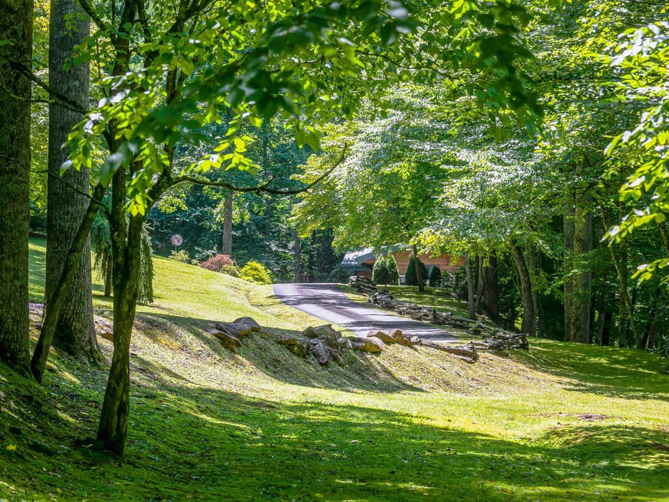 The cabin and property welcome you when you cross the gated bridge.