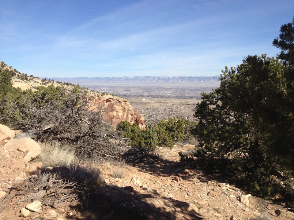 View from the Monument