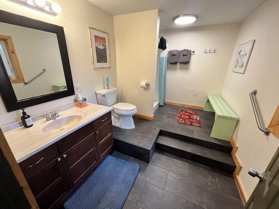 newly renovated master bathroom with lots of light