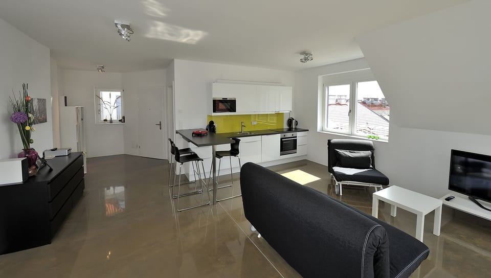 living room / kitchen