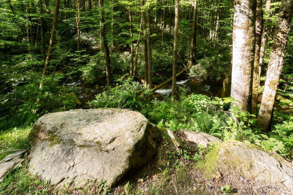 Huffman Creek Retreat -Hemlock-25