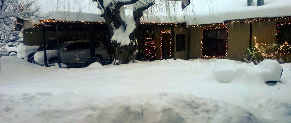 Frontyard
