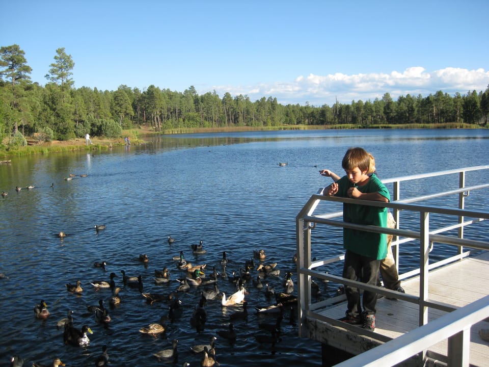 Nearby Woodland Lake and Park, kids fish for free.