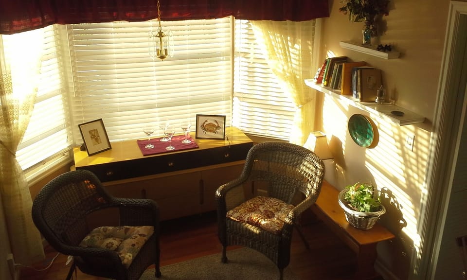 Sunlit Bay Window