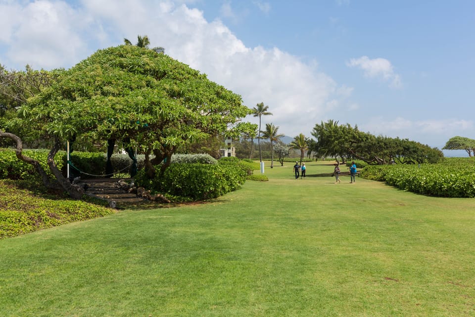 gorgeous ground at the resort