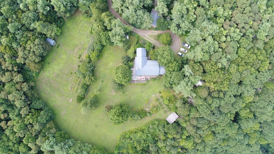 The 7 acre property has plenty of open yard for dogs (and kids!) to run and play
