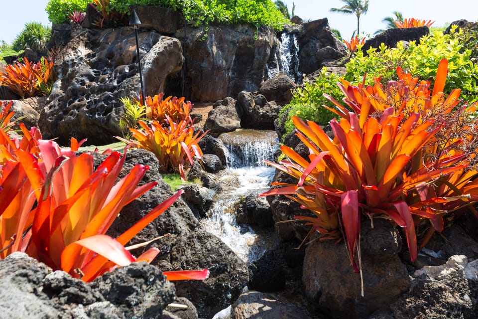 gorgeous mini waterfall in the resort