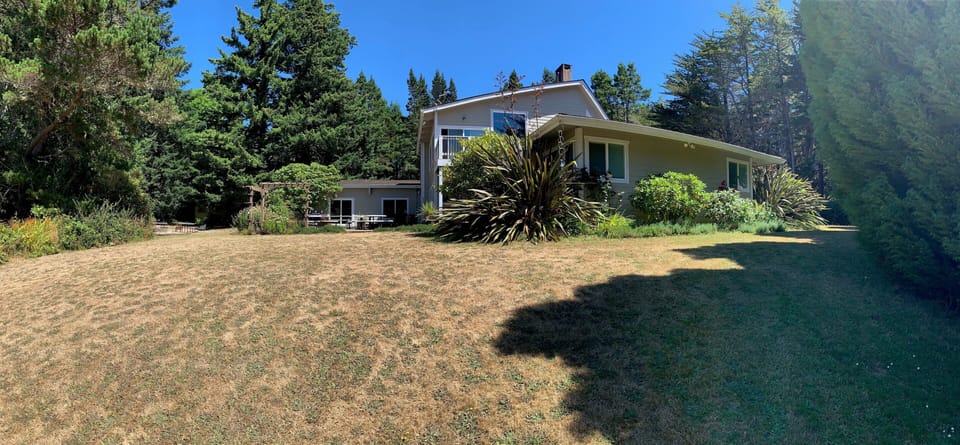 Large yard, view from the backyard looking up at the house