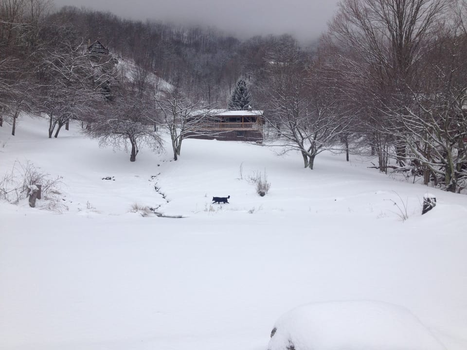 Winter wonderland!