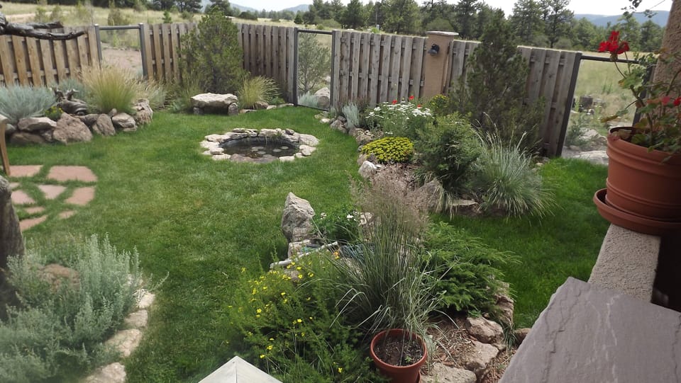 Summer: Front garden in summer