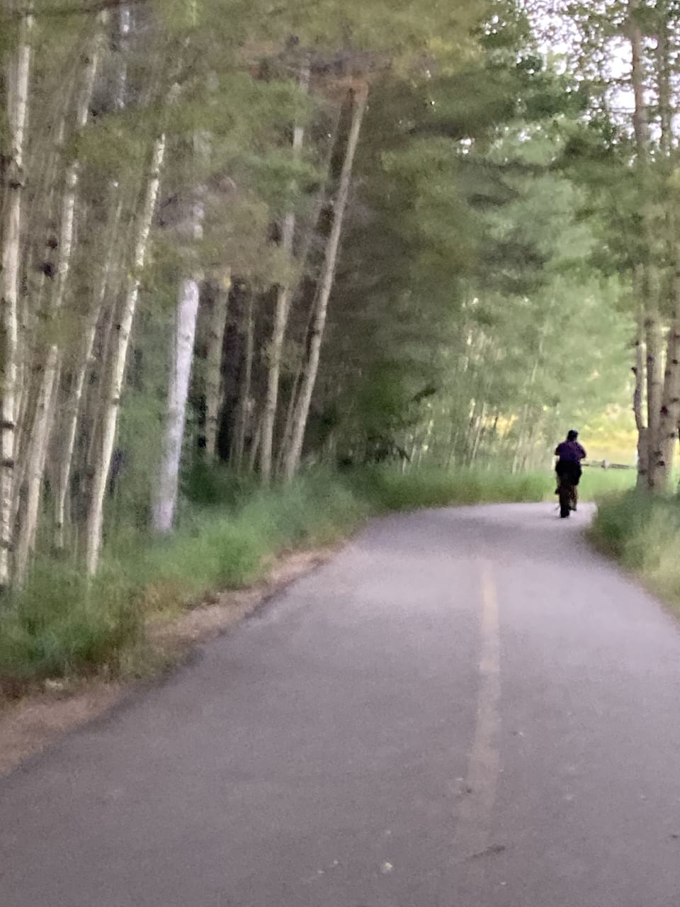 Beautiful bike path all the way around the lake!