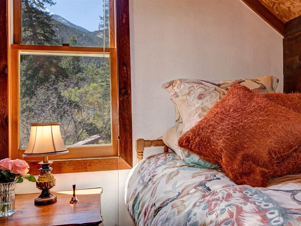 Views of mountains & Cameron Cone ~ Sounds of Ruxton Creek